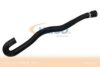 BMW 64216923944 Radiator Hose